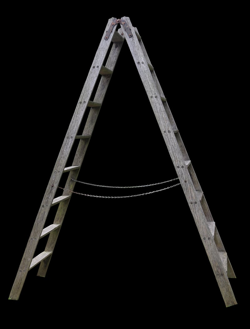 Wooden Ladder Trellis