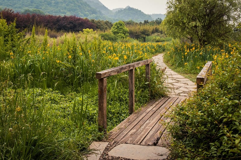 Stepping Stones